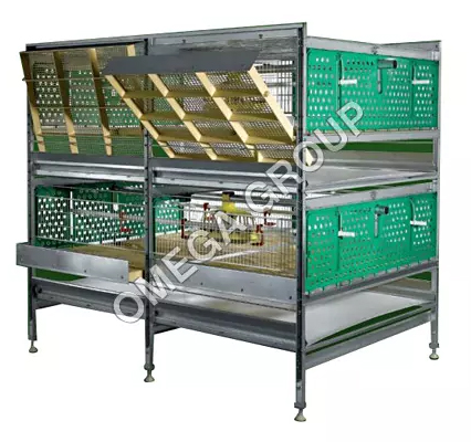 Automatic Battery Cage