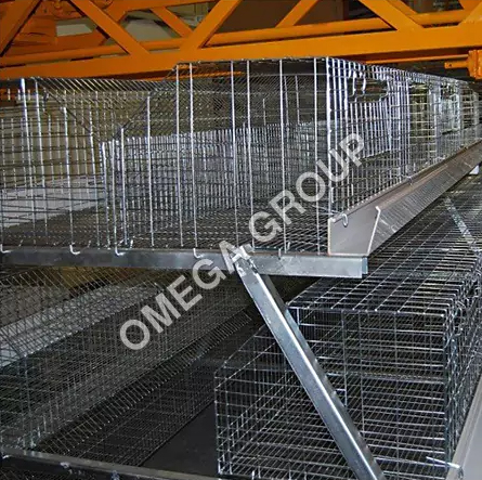 Poultry Cages (Manual California Semi Automatic)