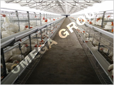 Battery Cage System